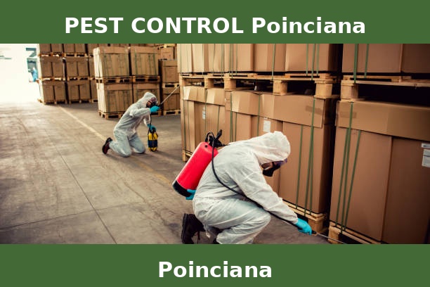 PEST CONTROL Poinciana